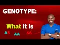 GENOTYPE