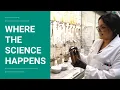 Where the Science Happens