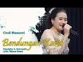 Download Lagu BENDUNGAN KARET - CINDI MAWARNI