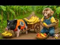 Download Lagu Monkey YiYi takes the piglets to harvest vegetables to sell MP3