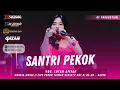 Download Lagu SANTRI PEKOK - INTAN AFIFAH || MAHESA MUSIK LIVE POPOH TAIWAN BERSATU HUT RI KE-80 || KAYEN - PATI