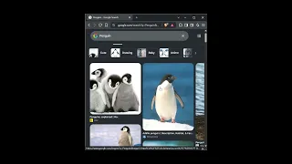 Project 0 - Search