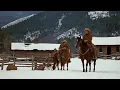 Download Lagu Journey to the Klondike 🐺 | Gold Rush Dog Sled Adventure | Full Movie HD