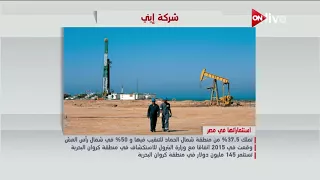 فيديوجراف كل ما تود معرفته من معلومات عن شركة إيني 