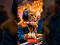 Lagu DJ Cat Dropping the Cutest Beats Ever! 😺🎧🔥 #Shorts#funny#viralshorts#dj#1000subscribers