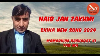niab jan zakmi new song 2024 shina new song 2024 gb song