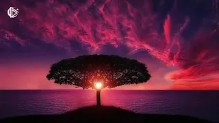 موسيقى للعمل  موسيقي هادئة للعمل  موسيقي حماسيه للعمل دندنها