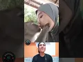 Download Lagu tahan tawa part 1995 monyet nya menang banyak #memes #hiburan #tahantawa #shorts