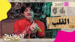 الدحيح القلب 