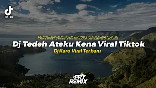 Download Dj Tedeh Ateku Kena Viral Tiktok - Trisna Shinta || Ini Sound Tiktok Yang Kalian Cari || FRY REMIX MP3
