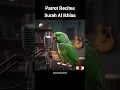 Parrot Reciting Surah Ikhlas – A Miracle That Touches Every Heart #SurahAlIkhlas #IslamicMiracle