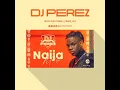 🔥TOP AFROBEAT PARTY MIX | AFROBEAT MIX 2021 | NAIJA 2020 | DJ PEREZ(Davido,Wizkid,Burna Boy)