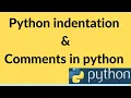 Python indentation comments in python Python tutorials