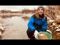 Download Lagu Prospecting the Nome gold rush's 3rd-richest creek (they found 14,500 ounces here in 1 year!)