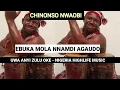 Download Lagu EBUKA MOLA NNAMDI AGAUDO - BY - UWA ANYI ZULU OKE - NIGERIA HIGHLIFE MUSIC