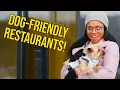 A Pawsome Guide To Dog Friendly Restaurants In Toronto