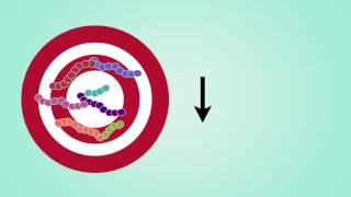 Impact Of The Pneumococcal Vaccine In France 