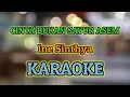 CINTA BUKAN SAYUR ASEM KARAOKE HQ Audio || Ine Sithya