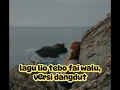 lagu lio tebo fai walu, cover 2025