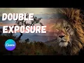 Double Exposure Effect in Canva - Tutorial