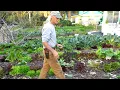 1000 A Week Front-Yard Market Farming Bicycle Delivery w Jim Kovaleski