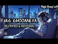 Lagu Jag Ghoomeya Lofi Song 🌼💕 [Slowed \u0026 Reverr] (Raja Song Lofi).