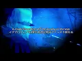 [和訳] Haunted-Phoebe Bridgers