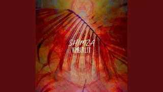asuk flaner remix 