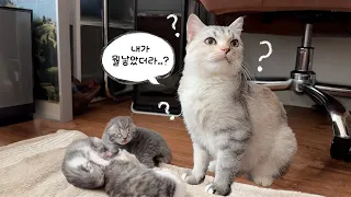 어제 낳아놓고 자꾸 새끼들 까먹는 초보맘ㅋㅋㅋ