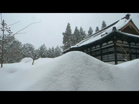 ZEN FOR NOTHING - official US trailer