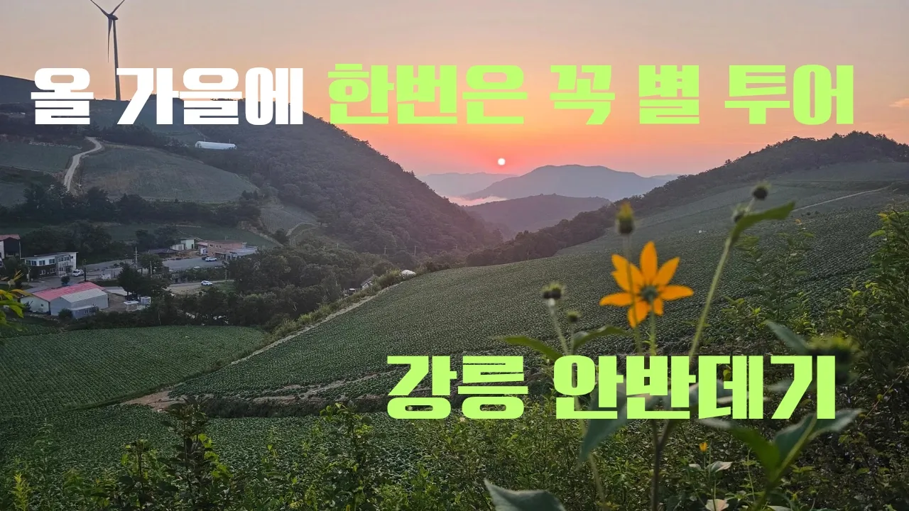 [가을 여행지,  한번은 꼭 별 투어, 차박 성지 강릉 안반데기] 음력 확인 해서 달 없을때 가실것 ~~ サムネイル