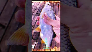 И Дети Внуки вы Поймёте Ещё мне Рано на Покой ещё так лет Дцать Позитив и Смех Жизнь 