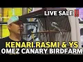 Download Lagu LIVE SALE‼️SPILL KENARI RASMI YORKSHIRE SPEK PEJANTAN DAN LOMBA