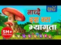 Download Lagu Nachdai Dus Wota I Thikka Ta Paryo I Dancing Frogs | Reverse Counting I Laxmi Pd Bhetwal I Babina