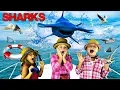 Download Lagu Sharks for Kids | Learn About Hammerhead Sharks!