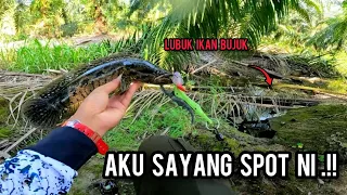 Download Ikan Bujuk | MISI MENCARI SPISIS YANG HAMPIR PUPUS | Kastking Zephyr | Vlog294 MP3