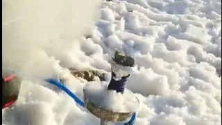 احلا جو اركيلة قلب قلب اشجابك لهذا الدرب رنا الحلبي 