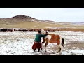 Download Lagu Mongolian Horsemen in action