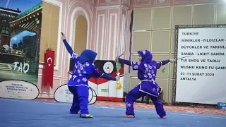 Download Türkiye Wushu Kungfu Taolu MP3