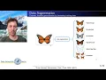 Deep Learning Lecture 9 2 - Early Stopping and Data Augmentation