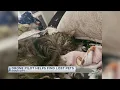 Drone Pilot Helps Find Lost Pets