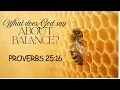 You Don t Have to Do It All A Lesson from Proverbs 25 16
