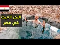 Lagu البحر الميت في مصر 🇪🇬 واحات سيوه والأمازيغ