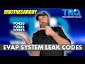 EricTheCarGuy Explains Check Engine Codes - P0455 P0456 P0442 EVAP System Leaks