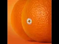 Sundays - Emotional Oranges