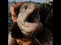 Download Lagu 🎶🐟 Fish Tough Forever! – Album Video 🌊