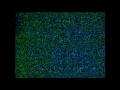 Virtual Psilowave From Emptiness - Maria Sabina Blessings