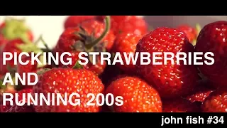 picking strawberries and running 200s
