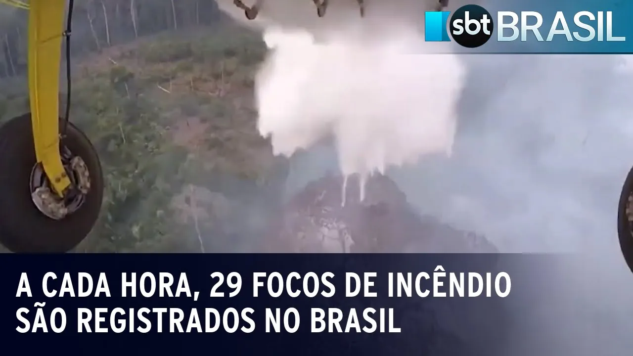 Brasil tem mais de 7.000 focos de incêndio, apontam dados do Inpe | SBT Brasil (29/07/23)