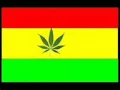 GARA GARA RASTA Botagearista